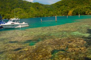 The pristine coral reefs of Milne Bay