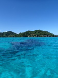 The Kadavu/Astrolabe reef logoon