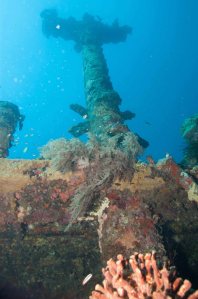 Wreck of the Atun Maru, one of more than fifty large Japanese ship sunk by Allied bombing and now at the bottom of Simpson Harbor, Rabaul