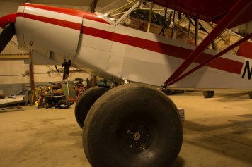 Piper Cub Tundra Tires1